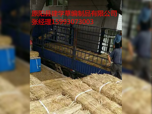 客戶案例